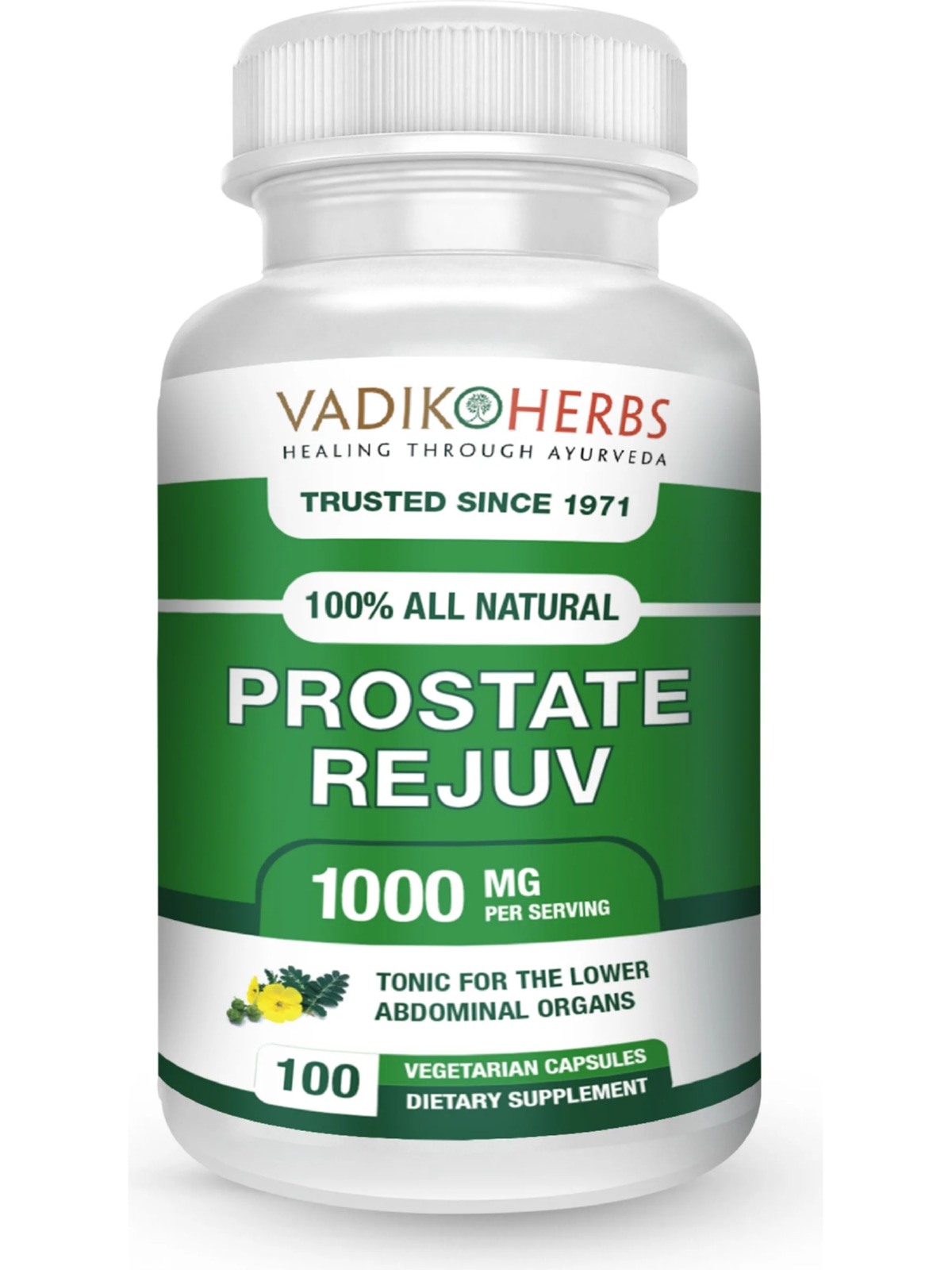 Vadik Herbs, Prostate Rejuv, 100 ct